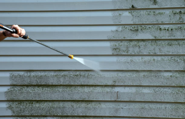 Best Patio and Deck Pressure Washing  in Wheaton, IL