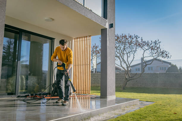 Best Driveway Pressure Washing  in Wheaton, IL